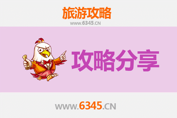 长春二道出发湄洲岛旅游攻略：跟团还是自由行深度解析